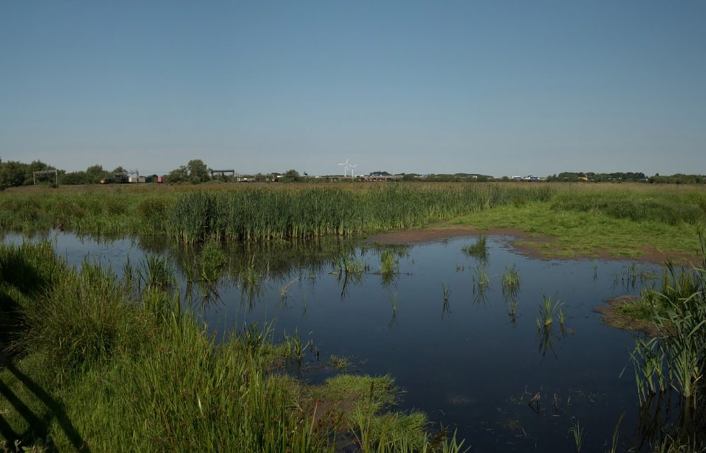 Doxey Marshes which will benefit from the £4.1m Stafford Brooks Project