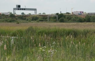 The M6 motorway runs next to Doxey Marshes where work will be carried out