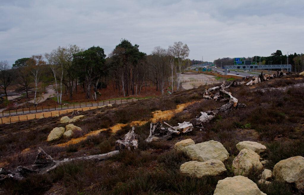 National Highways opens UK’s first heathland green bridge over A3 in Surrey 1